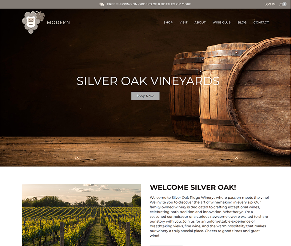 Modern Theme Template Screenshot