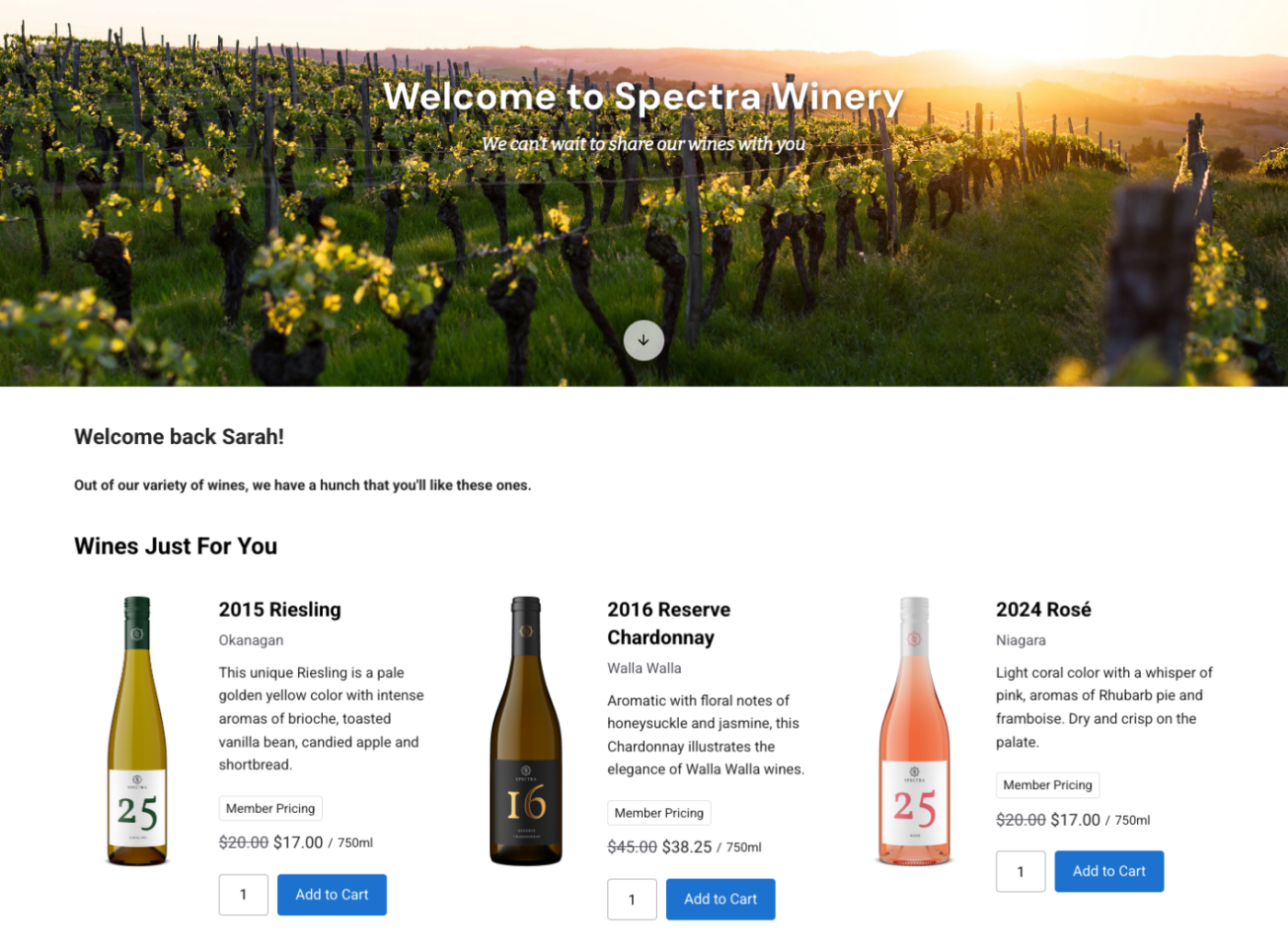 Spectra Winery vineyard with rows of grapevines at sunset, showcasing wine selection and tasting experience.